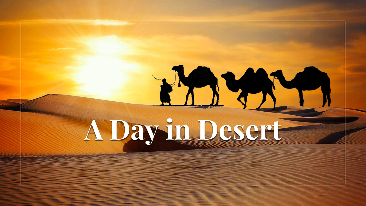 Read more about the article What  a day in desert !!