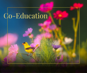 Read more about the article Co-Education