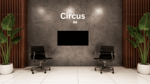 Read more about the article Circus