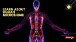 learn about Human microbiome